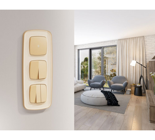 Комплект механизма 2-клавишного перекрестного выключателя Ambrella Volt 10A-250V OMEGA MO603030 Шампань QUANT (OP6030, VM125)