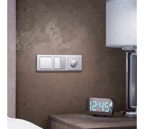 Выключатель одноклавишный с подсветкой Werkel (cеребряный рифленый) W1110109 4690389157578 a050902