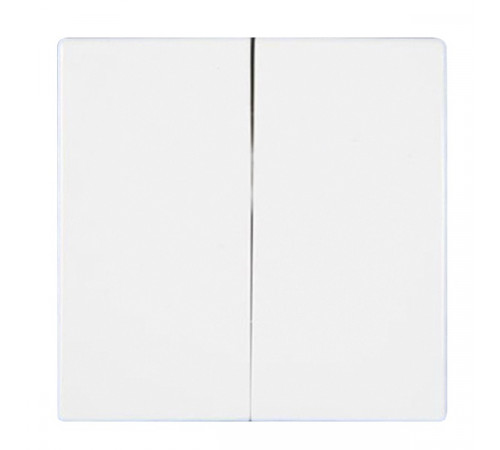 Клавиша для выключателя двухклавишного JUNG EcoProfi EP495WW