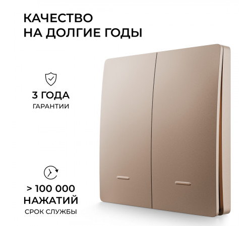 Выключатель кинетический 2кл., IP44, 2,4 ГГц, Smart, беж. Apeyron 04-76