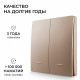 Выключатель кинетический 2кл., IP44, 2,4 ГГц, Smart, беж. Apeyron 04-76