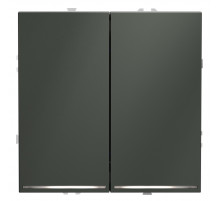 Выключатель двухклавишный с подсветкой Voltum S70 VLS020206