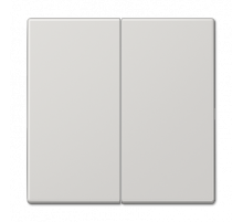Клавиша 2-ная Jung LS990 LS995LG