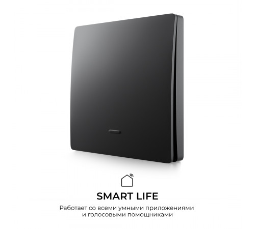 Выключатель кинетический 1кл., IP44, 2,4 ГГц, Smart, чер. Apeyron 04-81