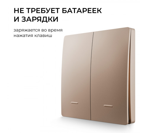 Выключатель кинетический 2кл., IP44, 2,4 ГГц, Smart, беж. Apeyron 04-76