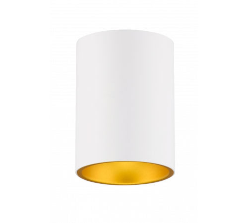 HDL-3160-130-WH/Gold (1/20) Светильник