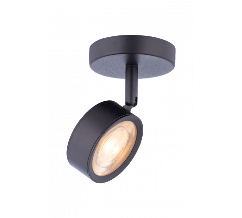 20115 SBK (1/20) Светильник (RL)