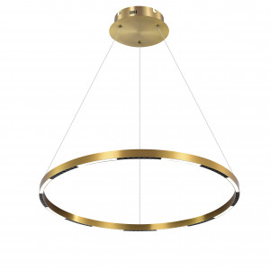 2063-DW-800 PAINT GOLD (1) Светильник (NW) #