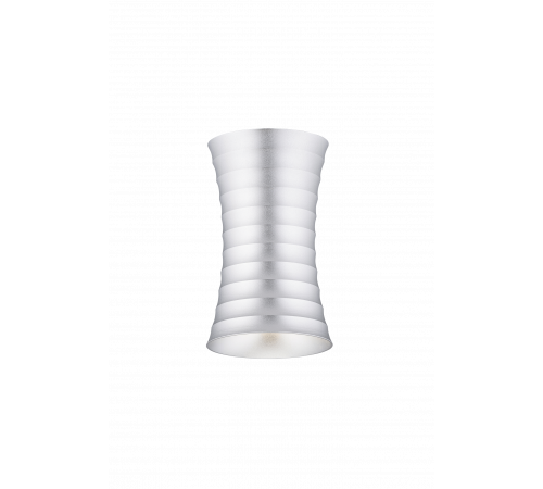 2028CN SSV (1/40) Светильник