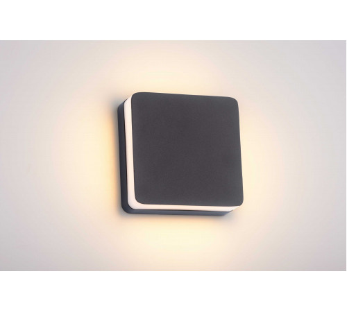 20107 SBK (1/20) Светильник