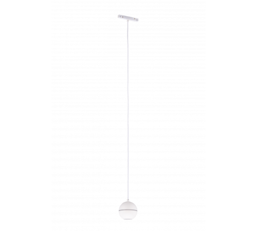 194CD 12W4K SWT (1/30) Светильник для магнитного шинопровода