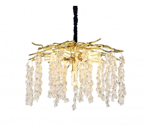 P8079/D500 GD (1) Люстра (RL)