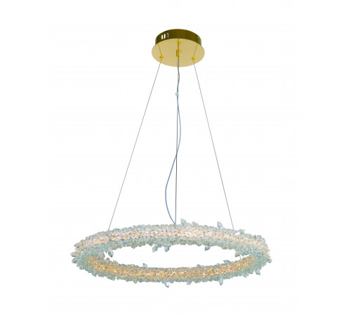 2837E/50W GOLD+CLEAR (1) Люстра NW #