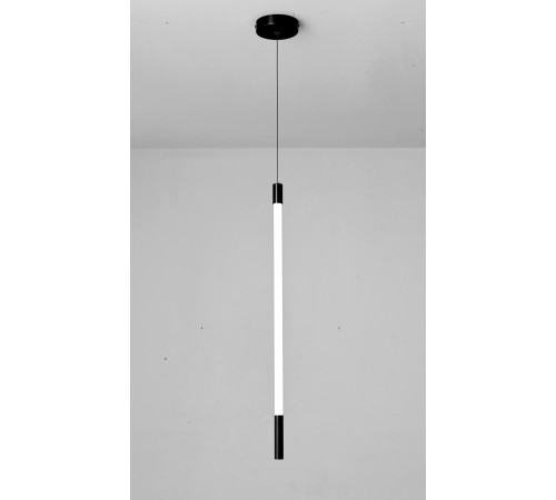 D8961-1 BLACK (1/12) Подвесной светильник RL #