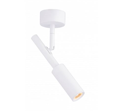 20116 SWT (1/20) Светильник (RL)