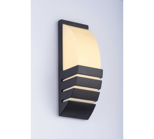 20109 SBK (1/20) Светильник