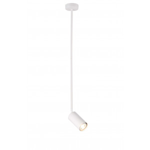 P070DW/1 WHITE (1) Светильник (NW)