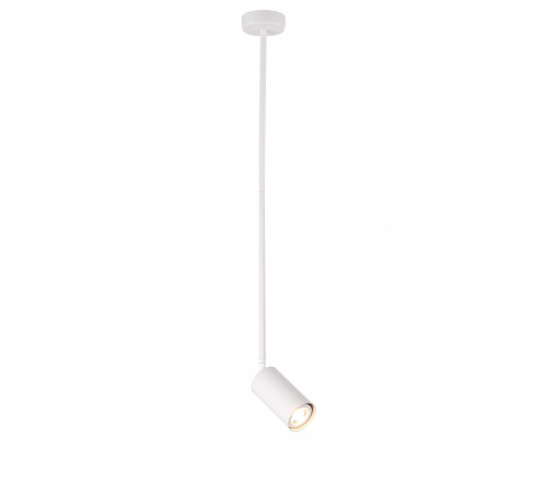 P070DW/1 WHITE (1) Светильник (NW)