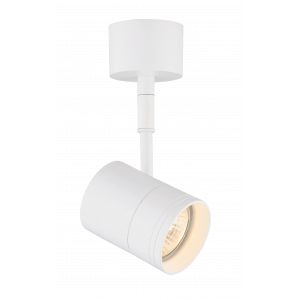 CL-5050/01-WH WH (1/20) Светильник