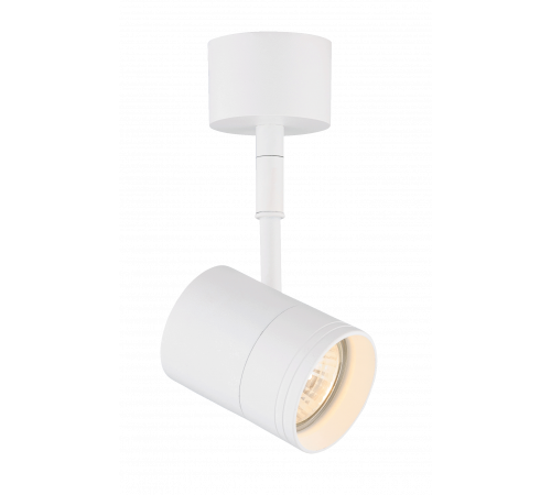 CL-5050/01-WH WH (1/20) Светильник