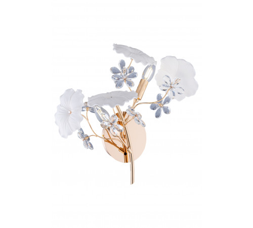 6862/2W FG (1) Настенный светильник NW #