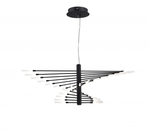 DW-D2670-30 BLACK (1) Светильник (NW) #