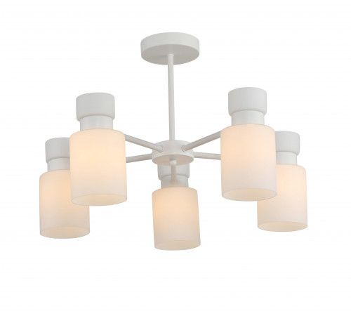 07471/5 WHITE (1) Люстра RL #