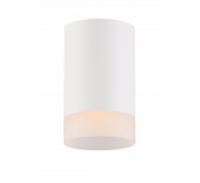 HDL-3165-WH WH (1/20) Светильник