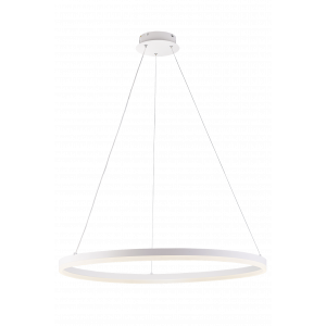 20214-8 SWT (1) Светильник (RL) #