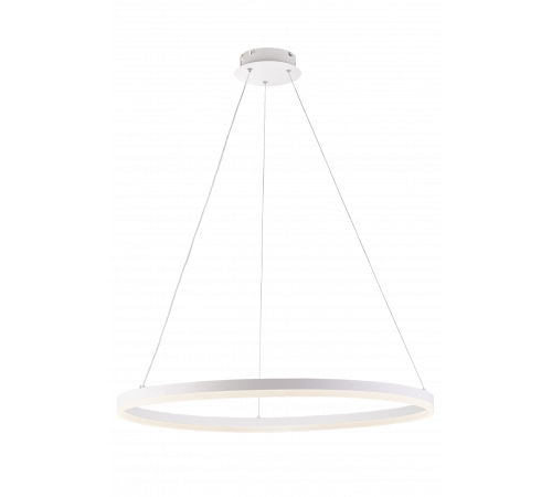 20214-8 SWT (1) Светильник (RL) #