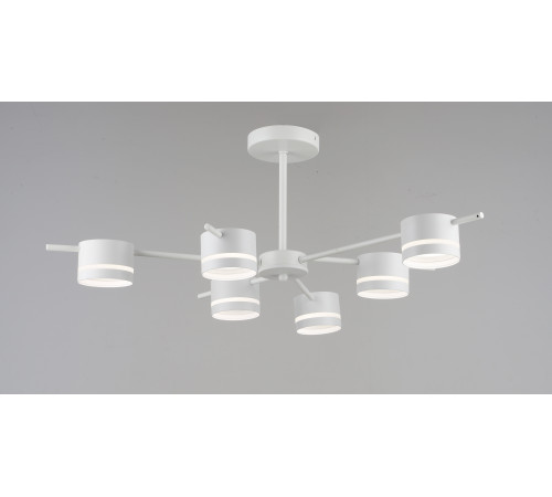 6901/6 WT (1) Люстра (RL) #