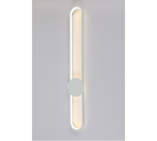 AM551/800 WT (1/10) Настенный светильник (RL) #