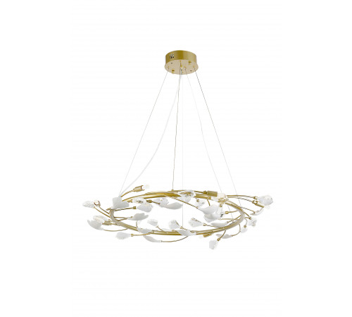 9020-D800GD GOLD (1) Люстра  NW