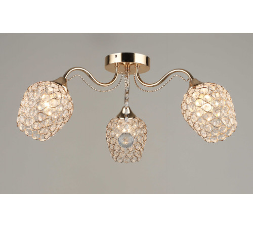 4735/3 FGD (2) Люстра (RL)