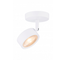 20115 SWT (1/20) Светильник (RL)