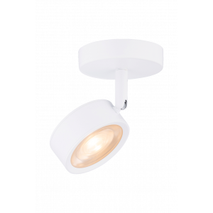 20115 SWT (1/20) Светильник (RL)