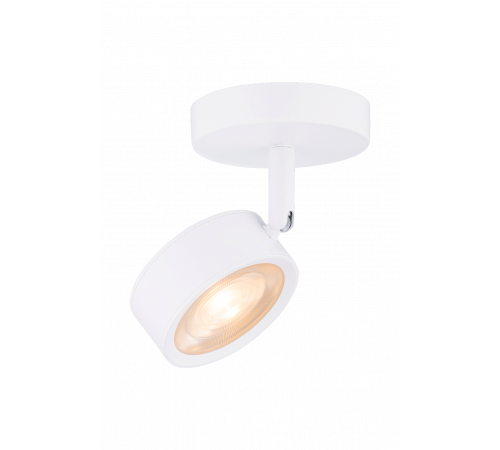 20115 SWT (1/20) Светильник (RL)