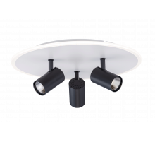 2467/460 WHITE+BLACK (1) Люстра (RL) #