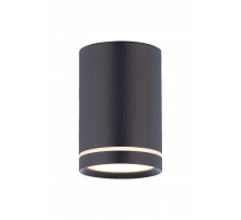 2027CN-A SBK (1/30) Светильник (RL)