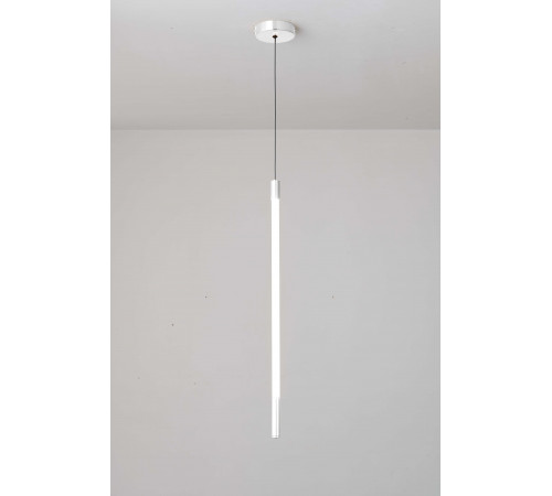 D8961-1 WHITE (1/12) Подвесной светильник RL #