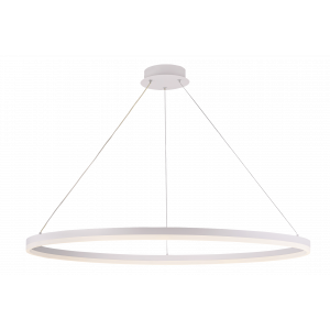 20214-10 SWT (1) Светильник (RL) #