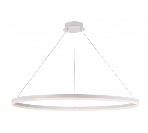 20214-10 SWT (1) Светильник (RL) #