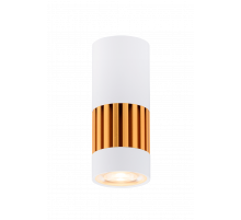 031 SWT+SGD (1/30) Светильник