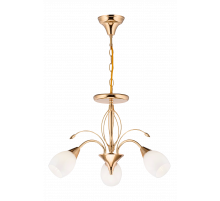 79216/3 FGD+MK (1) Люстра