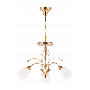 79216/3 FGD+MK (1) Люстра