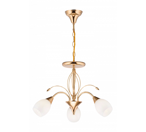 79216/3 FGD+MK (1) Люстра