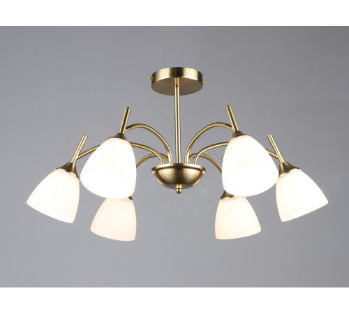 7349/6 COP (1) Люстра RL