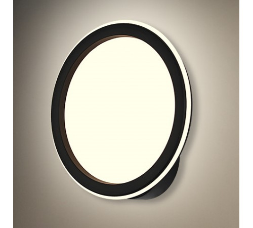 9301/240 BK (1/10) Настенный светильник (RL)