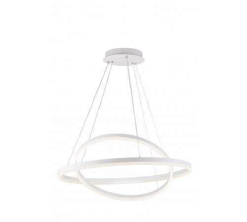 20214-6+8 SWT (1) Светильник (RL)