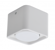 2558M/1 FWH (1/50) Светильник потолочный NW